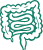 intestine icon